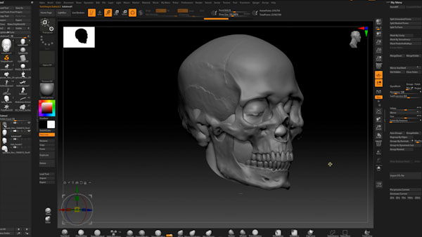 画像4:頭蓋骨のスキャンデータを頭部のスキャンデータにぴったりと合わせるためのサイジング